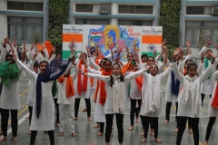 REPUBLIC DAY (20)