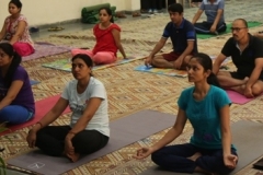 YOGA SESSIONS FOR PARENTS (11)