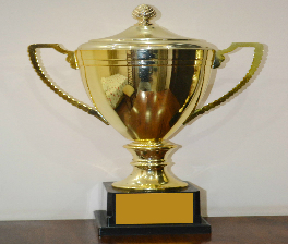 Brahm Dutt Blue Bells Public School EXHIBITS HALLMARK OF EXCELLENCE IN  SOF SCIENCE OLYMPIAD 2018