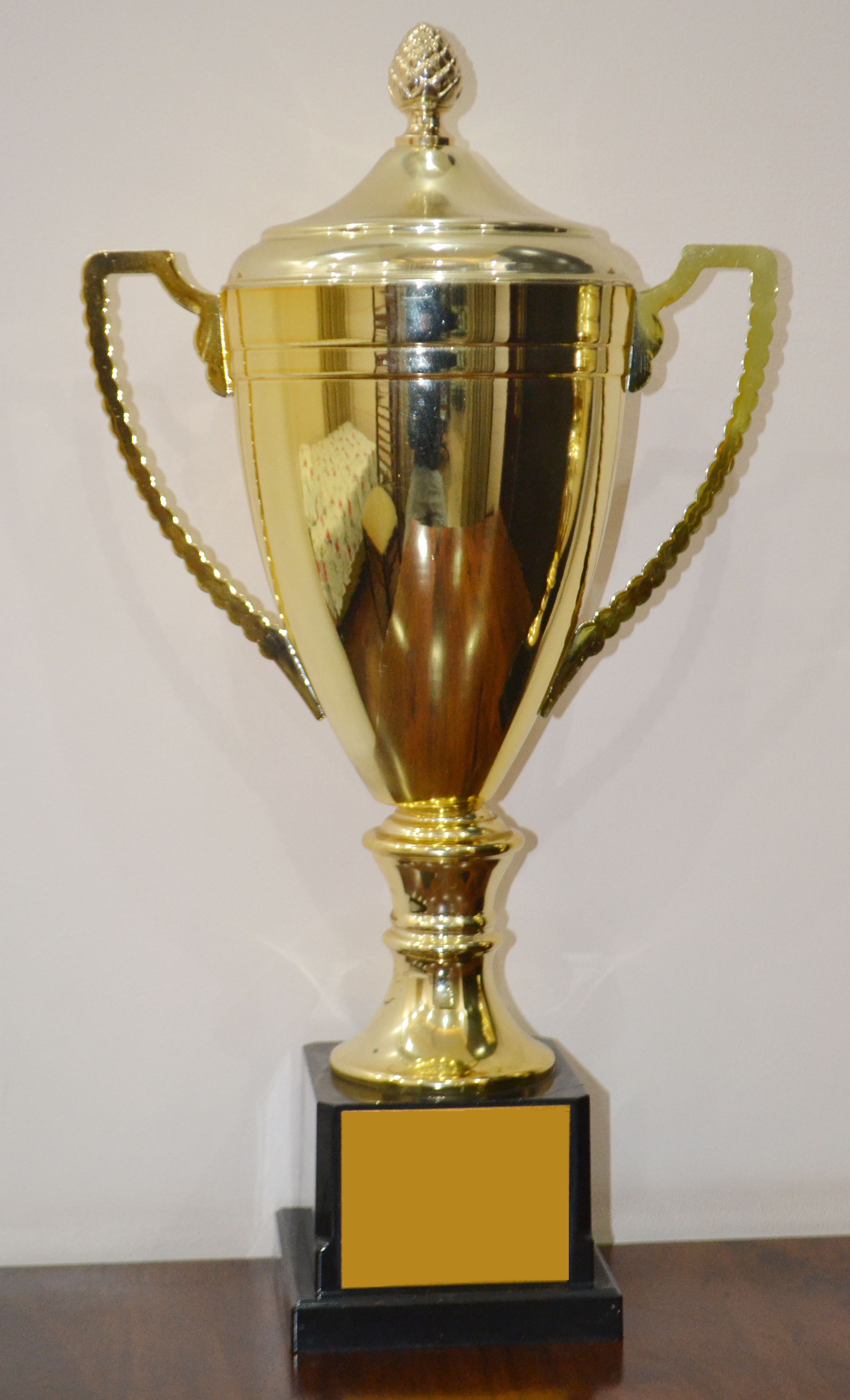 CBSE North Zone-II Skating Championship