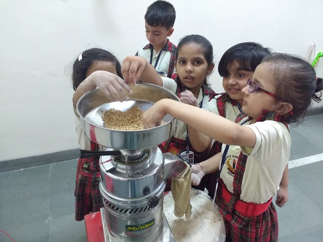 ACTIVITY - WHEAT TO FLOUR