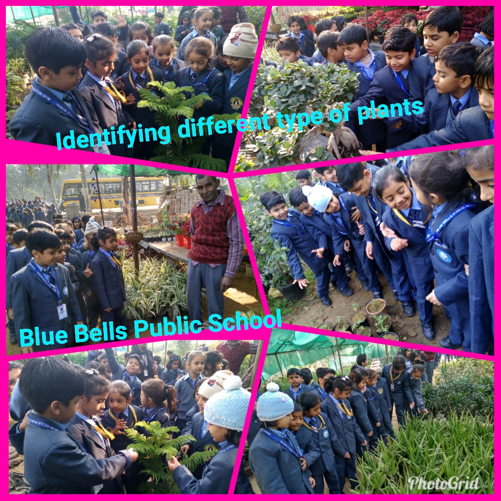 Class I- Educational trip to Plant Nursery