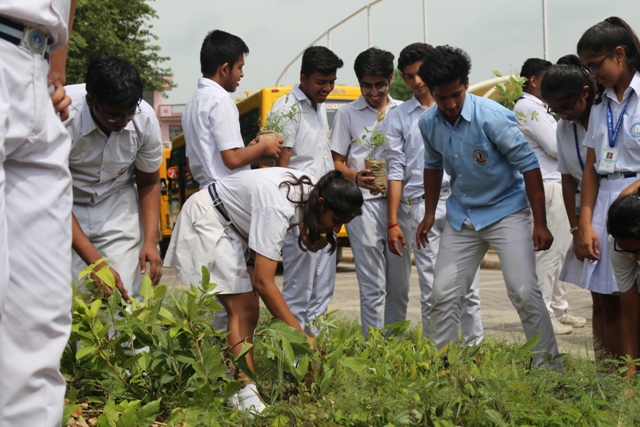 SAPLING DISTRIBUTION AND PLANTATION DRIVE 