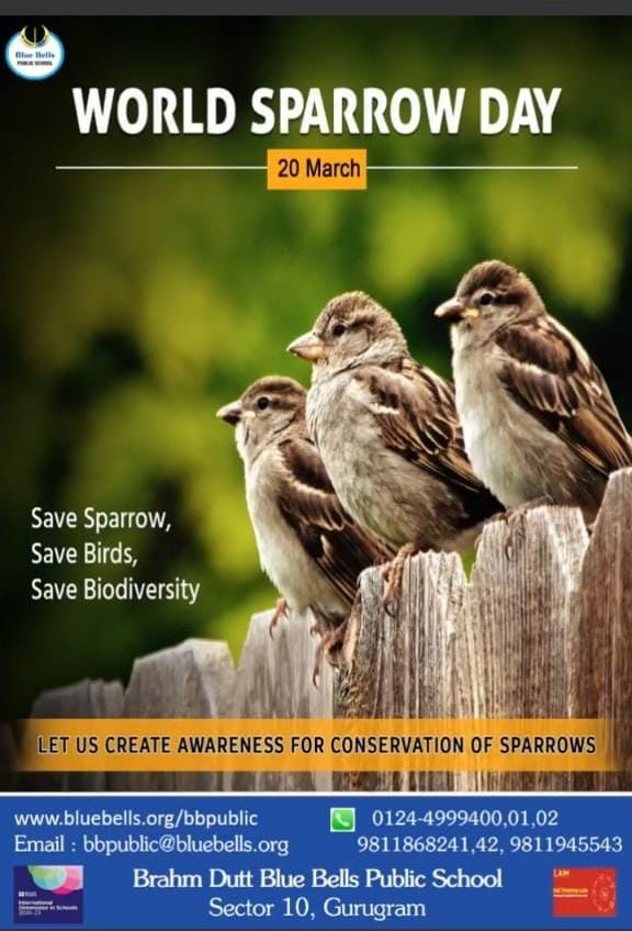 WORLD SPARROW DAY