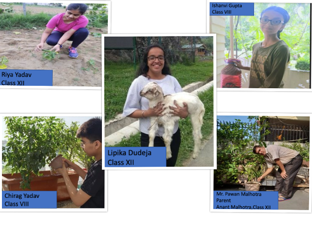 Kindness Matters Campaign