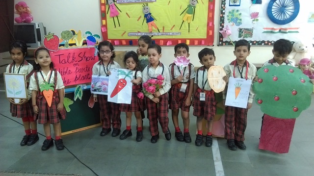 TALK SHOW-EDIBLE PARTS OF PLANTS