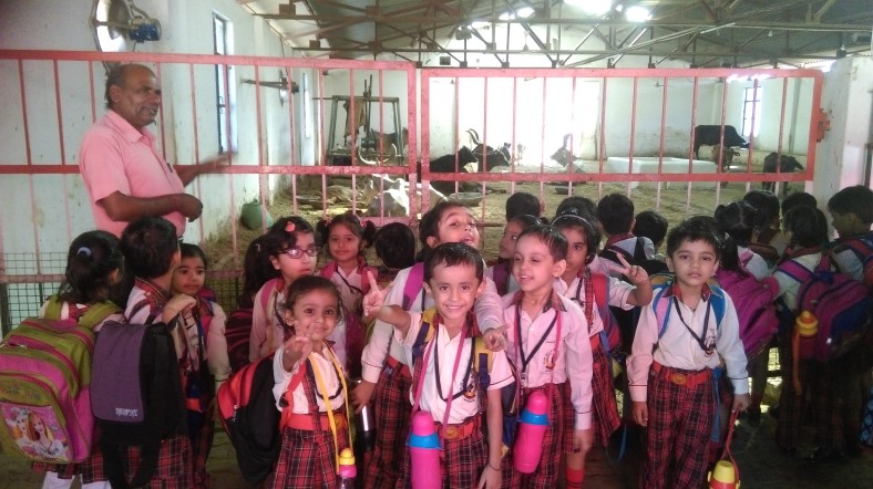 MY VISIT TO COWSHED (Gaushala)