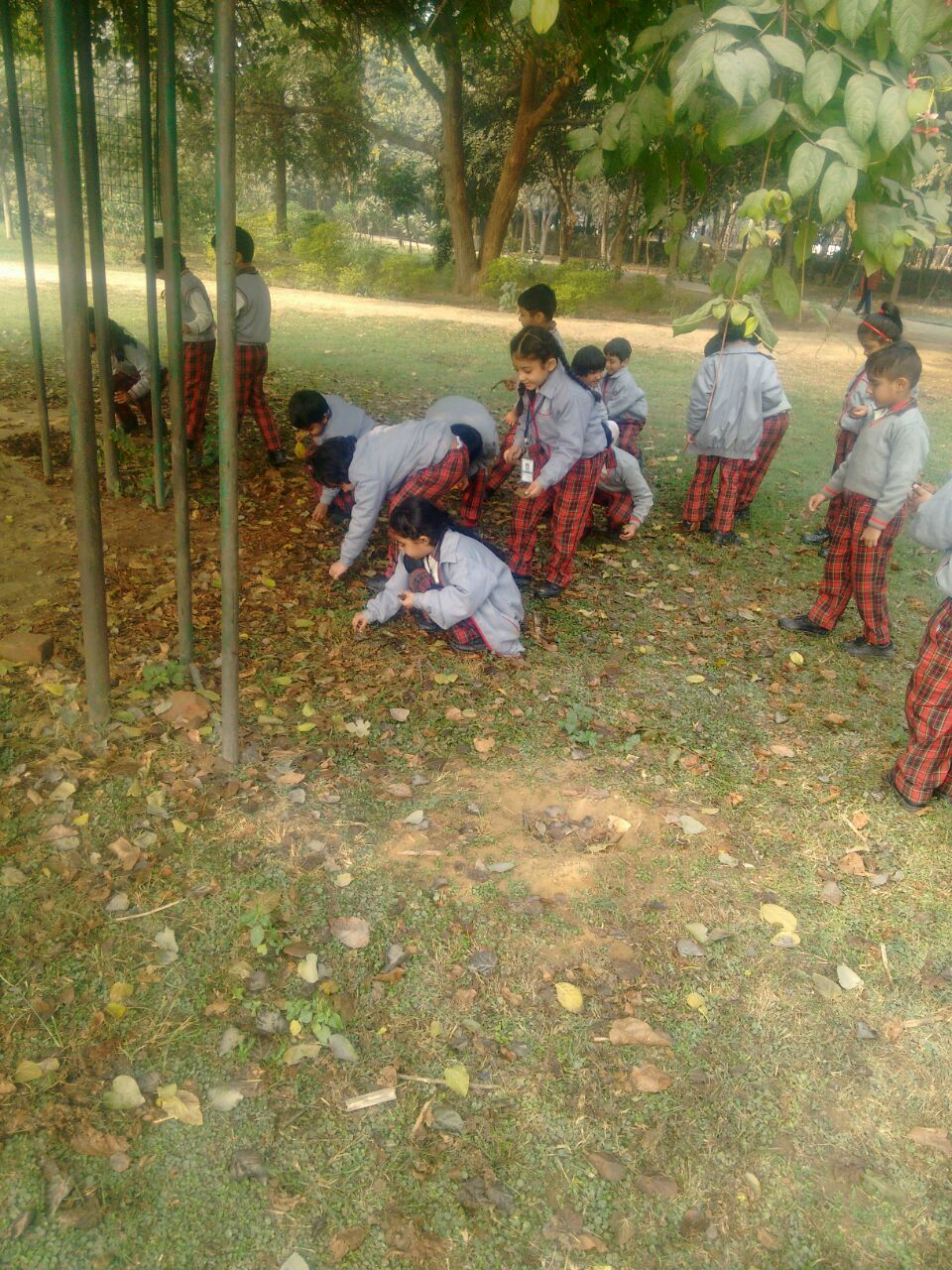 Trip to Tau Devi Lal Botanical Garden 