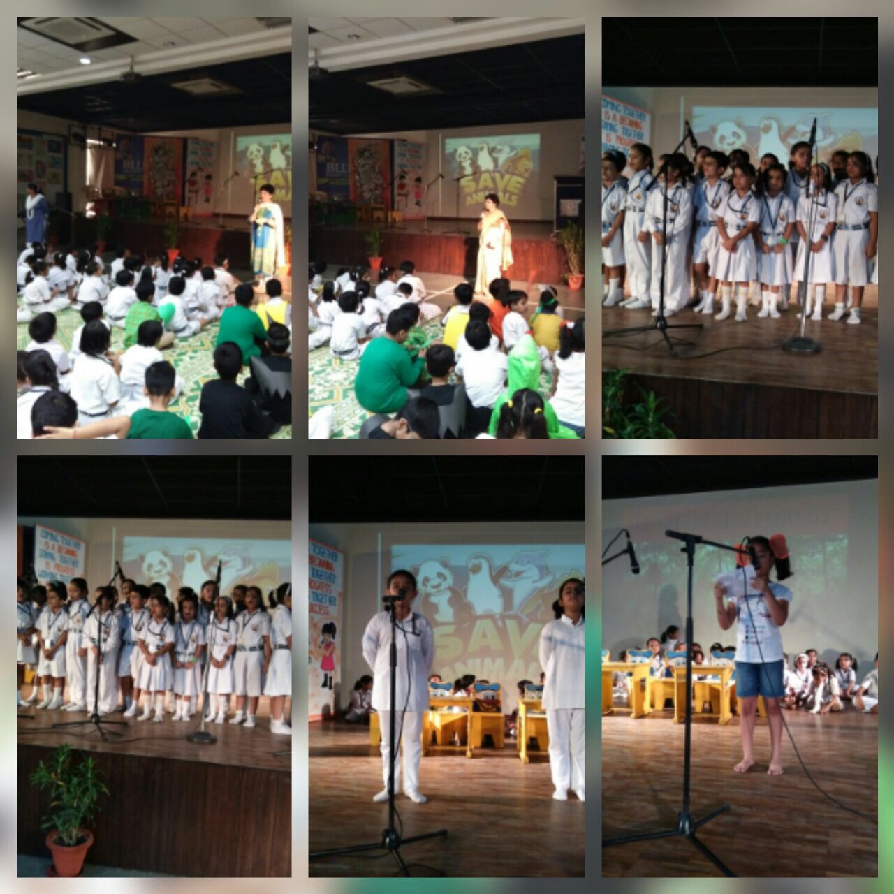 Special Assembly Save Animals