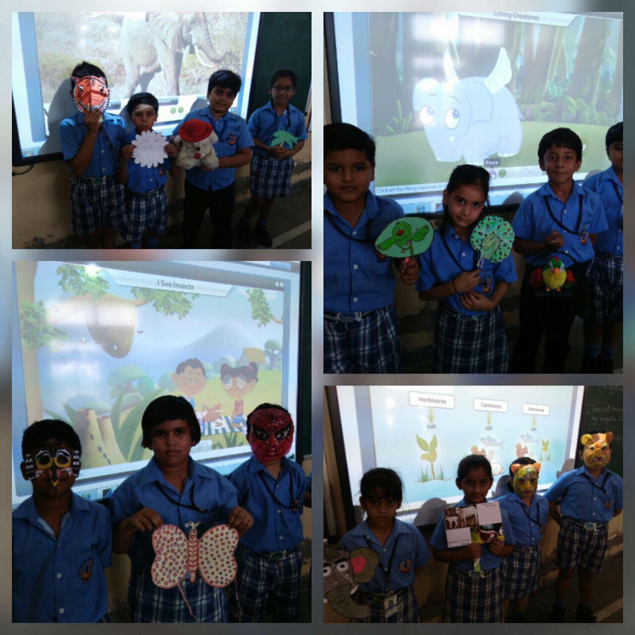 TALK SHOW ON ANIMALS AROUND US